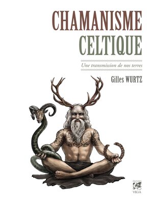 cover image of Chamanisme celtique